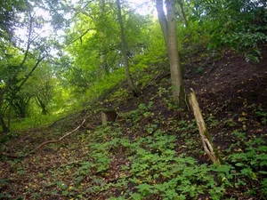 Burgwall Hohenbüssow