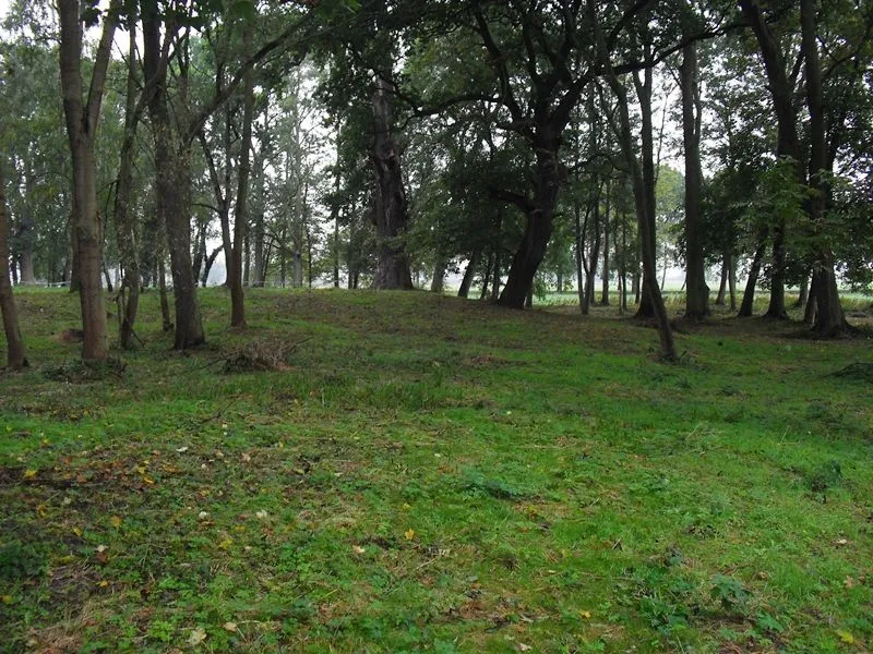 Burgwall Pleetz
