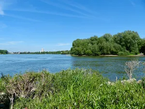 Landschaftsschutzgebiet Rhein, Rheinauen und Uferbereiche von Rodenkirchen bis Langel rechtsrheinisch