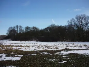 Burgwall Neu Nieköhr
