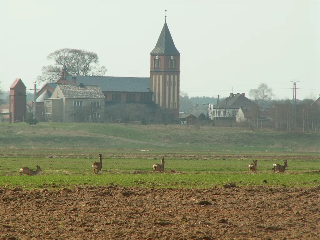 The town and fields of Szczedrzyk.