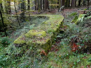 Kleinkastell Robern