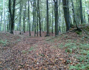 Vogelsburg