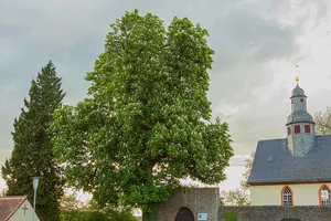 Evangelische Kirche Aulendiebach