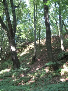Dornburg (Oppidum)