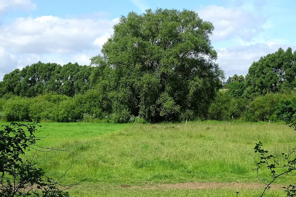 Naturschutzgebiet HA 129 Leineaue unter dem Rammelsberg