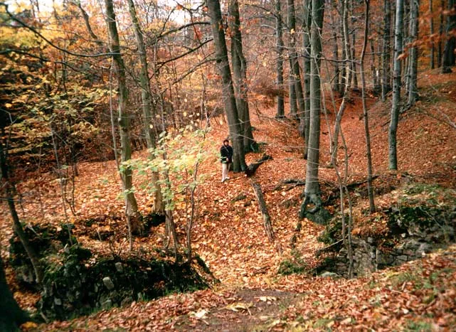 Überreste der Burg Erichsberg in der Gemarkung Gernrode nahe Friedrichsbrunn