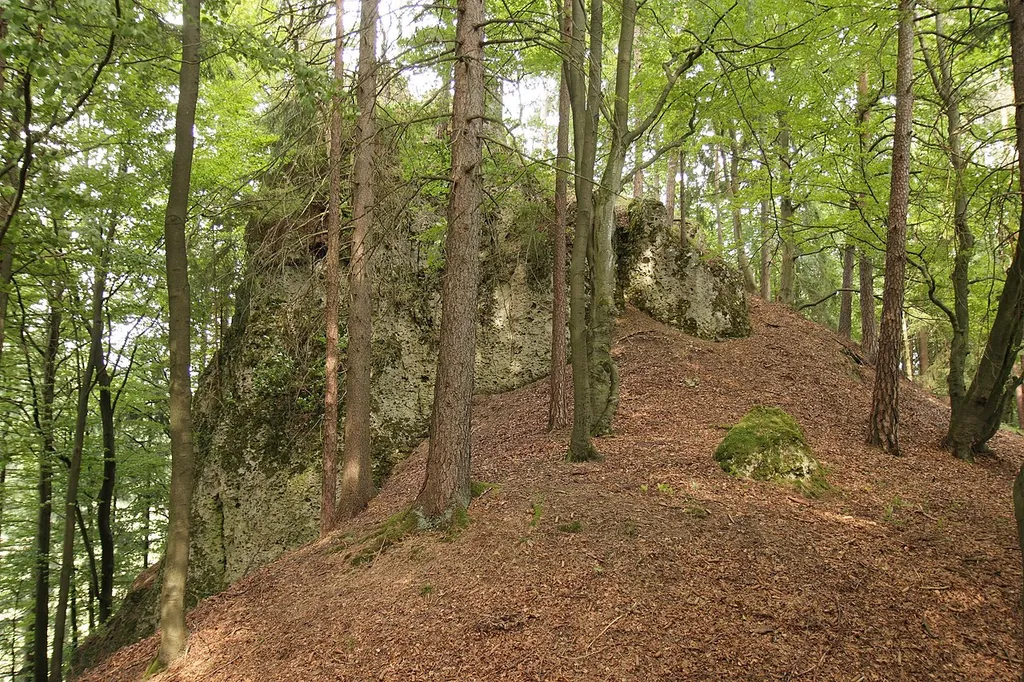 Burgstall Ratzenberg - Ansicht des Burgfelsens aus westlicher Richtung