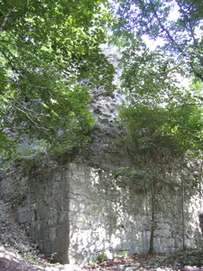 Burg Winzenburg