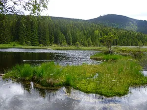Upper Bavarian Forest Nature Park