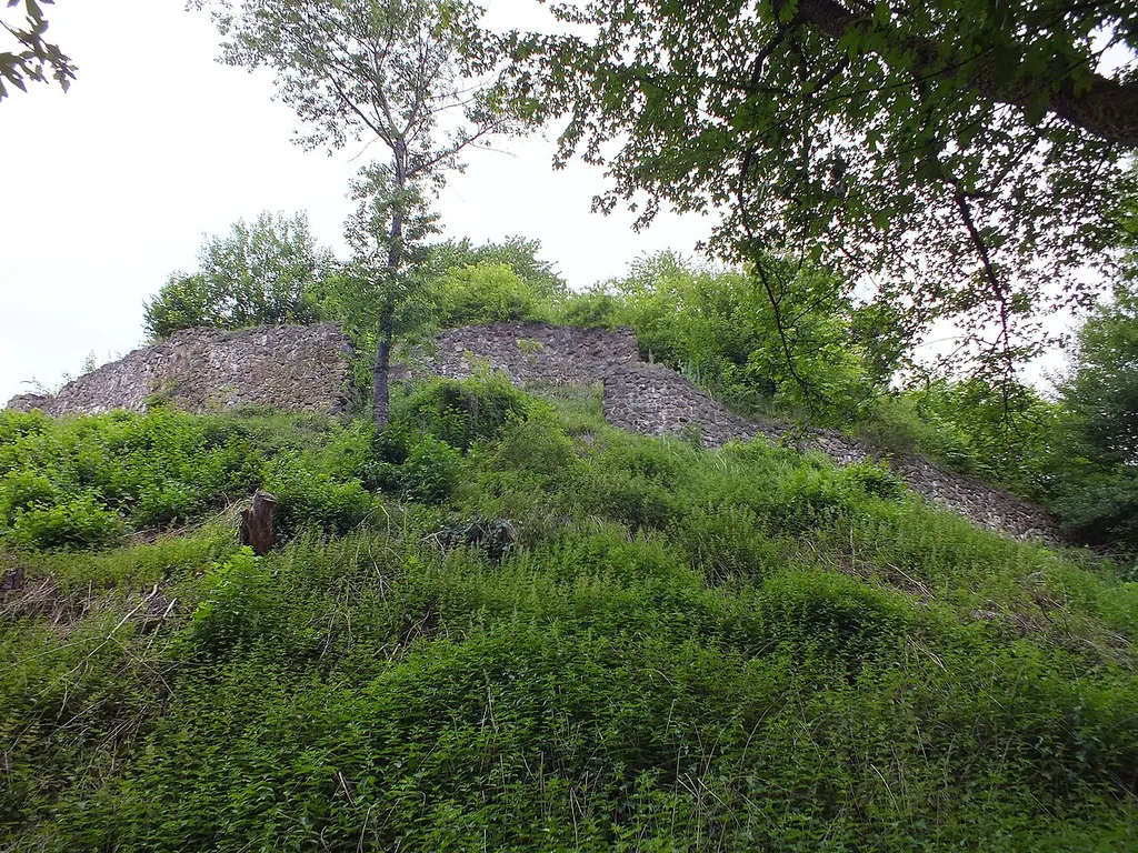 Bei Grabungen freigelegte Mauerreste der Burgruine Schauenburg