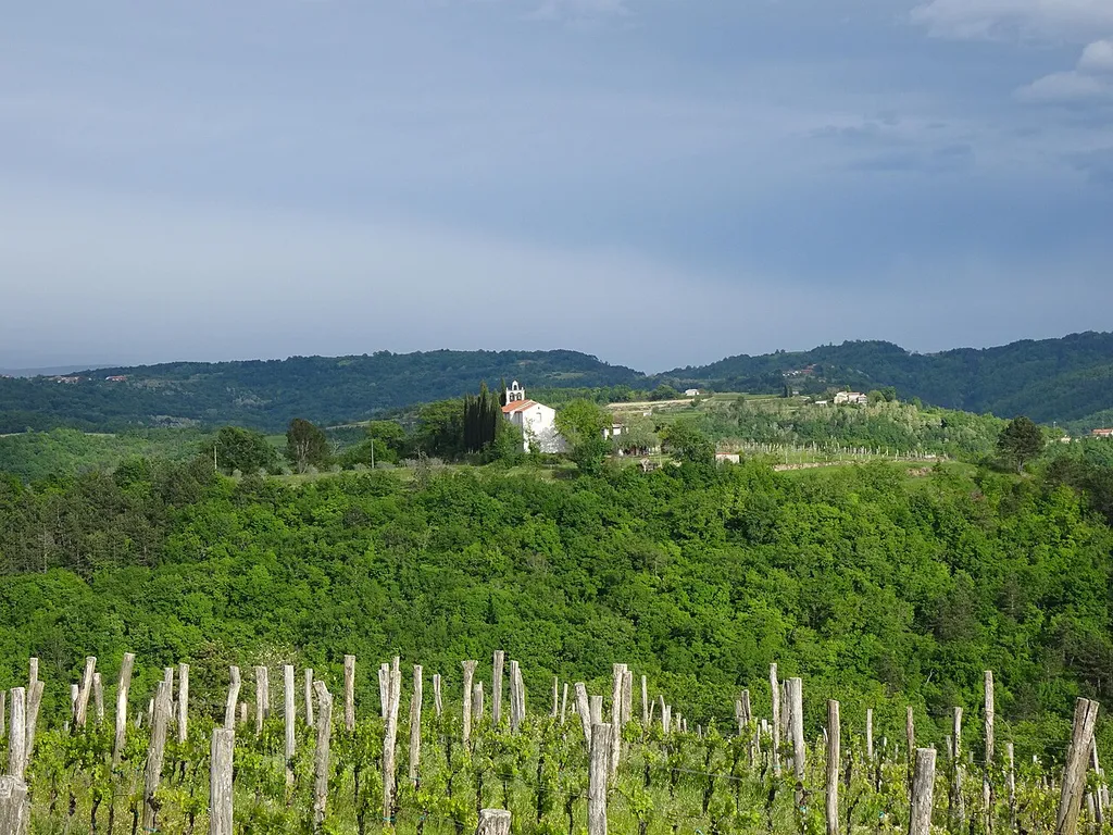 This media shows a cultural heritage object of Slovenia with EŠD: 1466