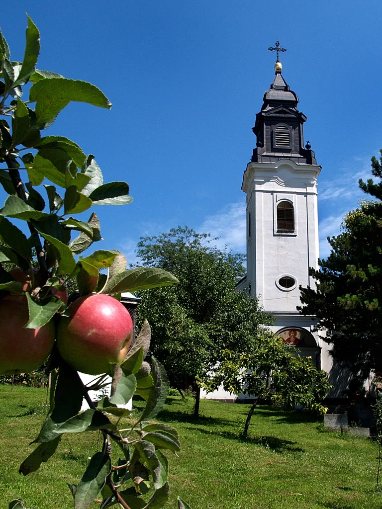 Orthodox church in Indjija