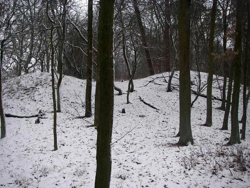 Blick zum Burgwall