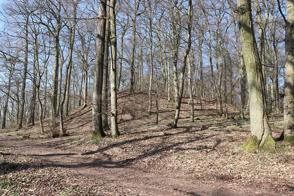 Der Abschnittswall auf dem Erdener Borberg liegt links der Mosel oberhalb eines Felsmassivs gegenüber des Moselortes Erden. Die halbkreisförmige Wallanlage entstand im 2. vorchristlichen Jahrhundert.