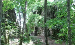 Burgstelle Kybfelsen