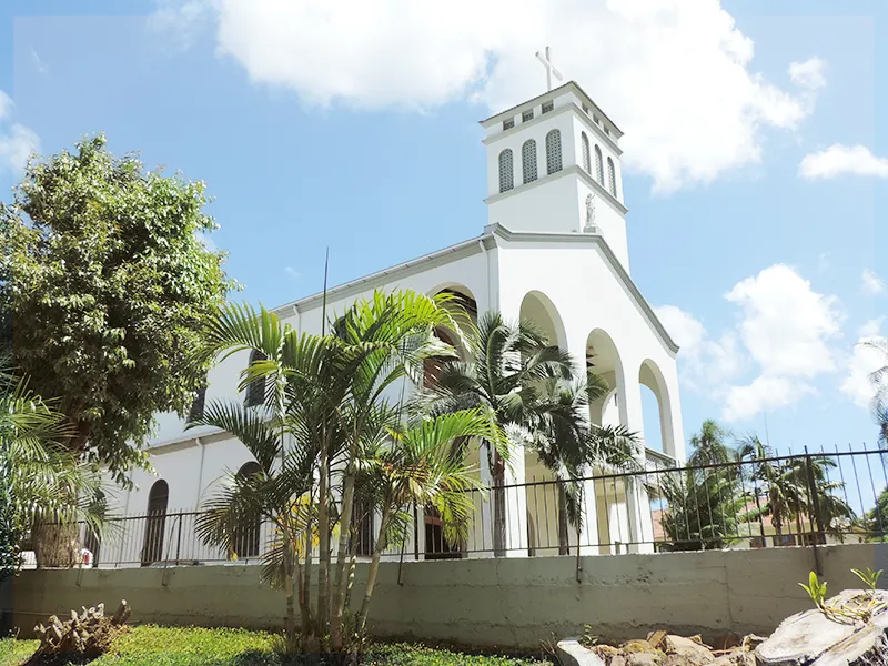 Catedral São João Batista