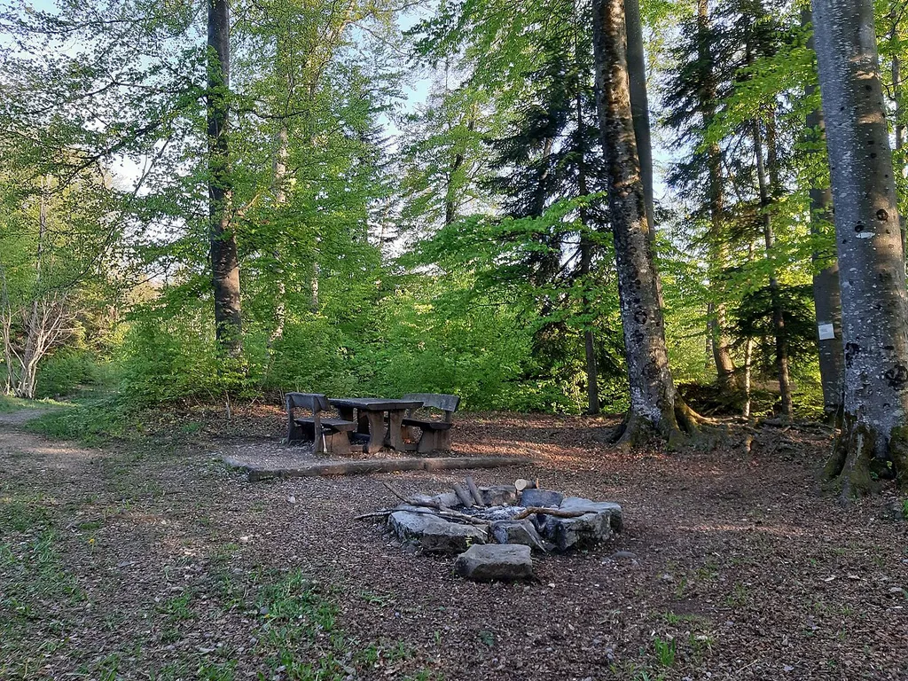Vorplatz der Burgstelle Batzberg mit Feuerstelle.