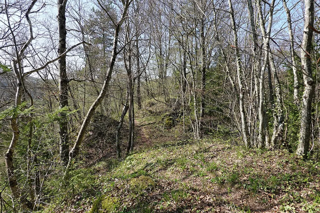 Hartenštajn Castle