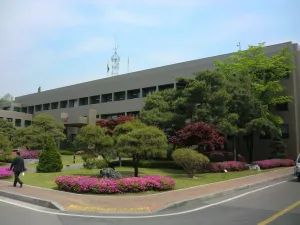 Paju