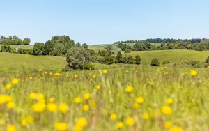 Drawsko Landscape Park