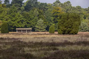 Lüneburger Heide