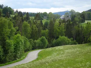 Hochschwarzwald um Hinterzarten