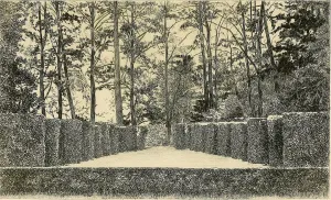 Heckentheater Rheinsberg