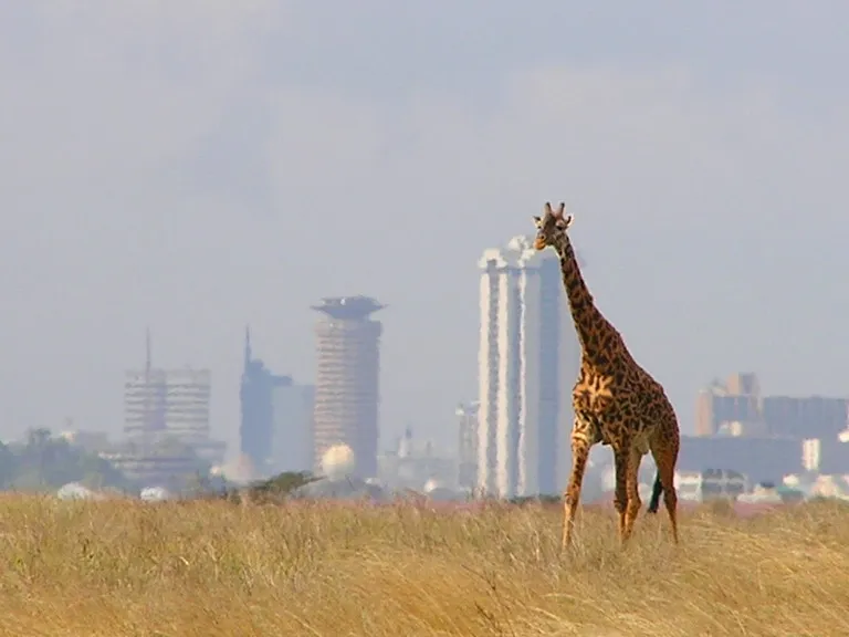 Nairobi National Park