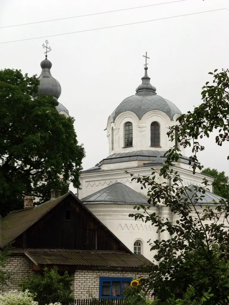 Дзісна