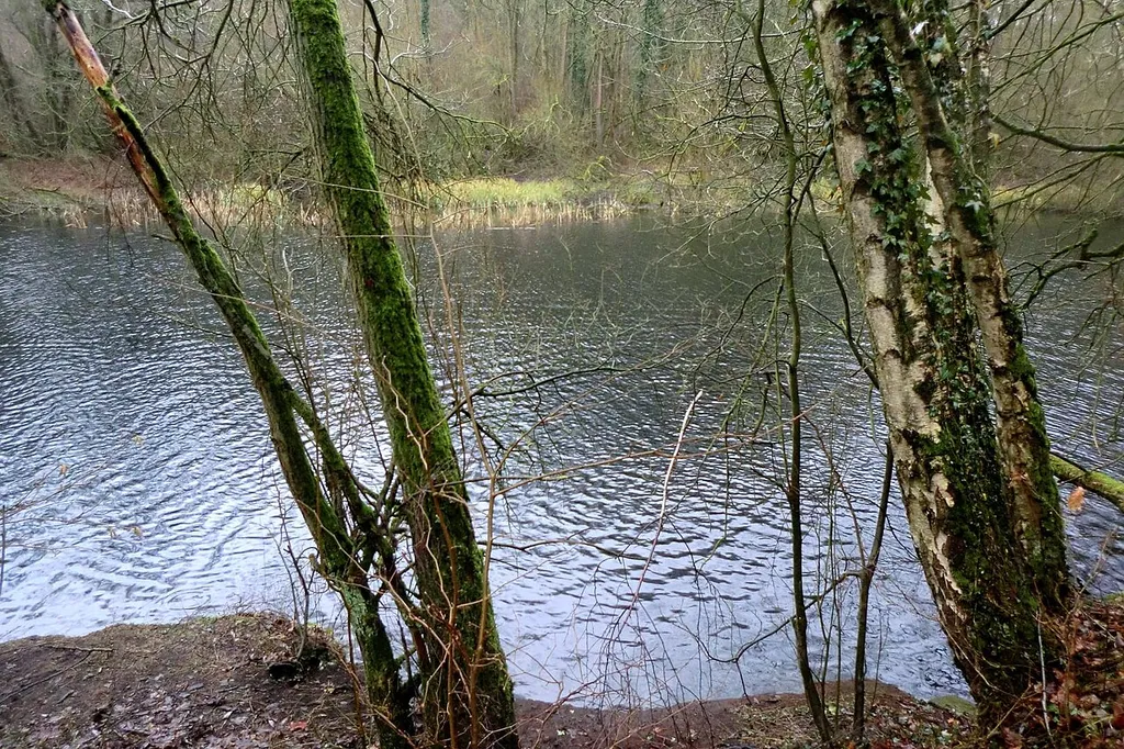 Teich in der Finkenburg
