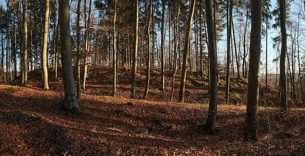 NOTE: This image is a panorama consisting of multiple frames that were merged or stitched in software. As a result, this image necessarily underwent some form of digital manipulation. These manipulations may include blending, blurring, cloning, and colour and perspective adjustments. As a result of these adjustments, the image content may be slightly different from reality at the points where multiple images were combined. This manipulation is often required due to lens, perspective, and parallax distortions.