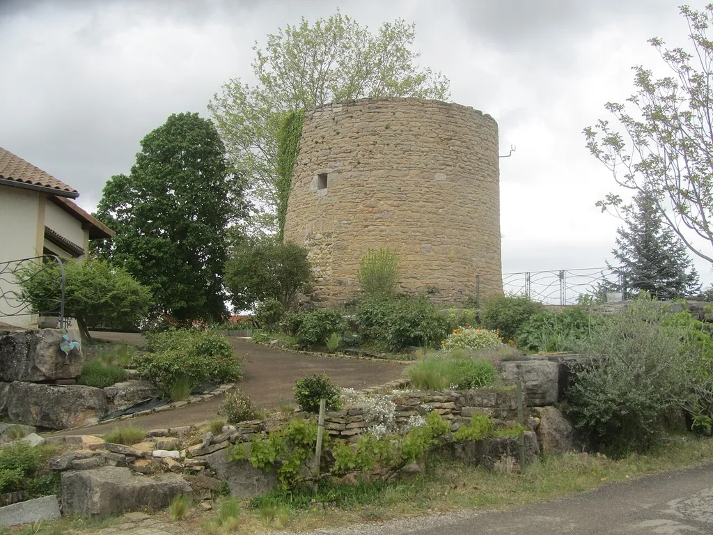 Burg Pusignan