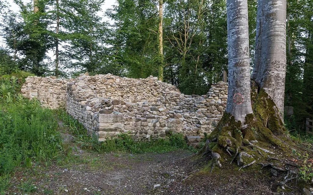 Märstetten/TG: Burgruine Altenburg