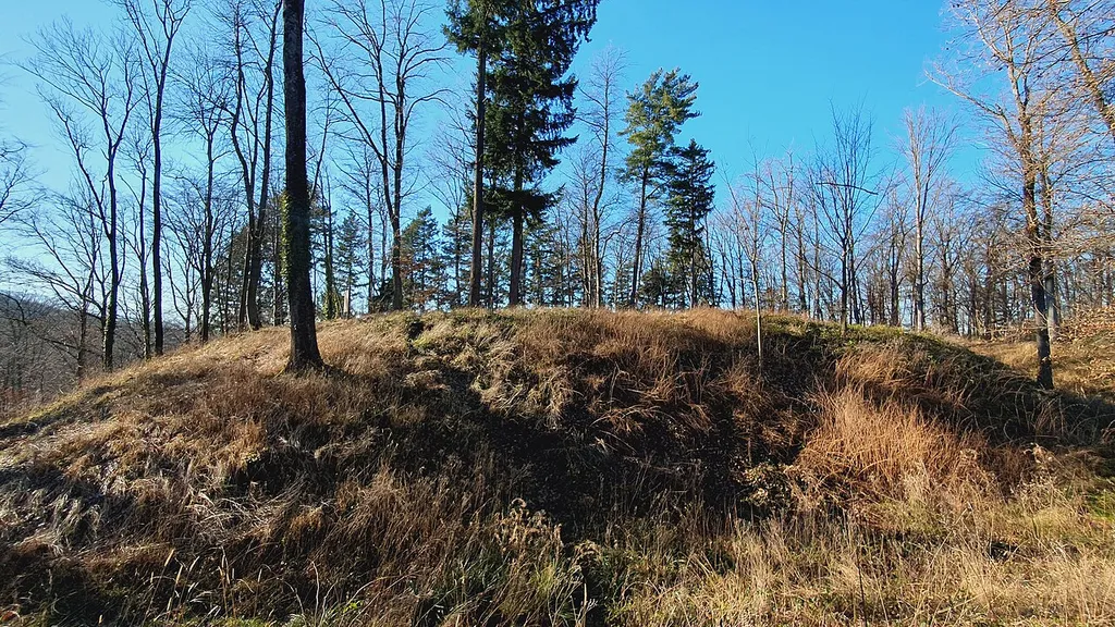Medieval motte