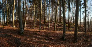 Heidenburg (Ippingen)