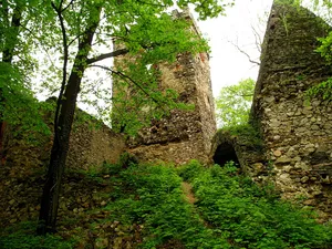 Castle in Lipa Górna