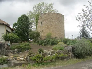 Burg Pusignan