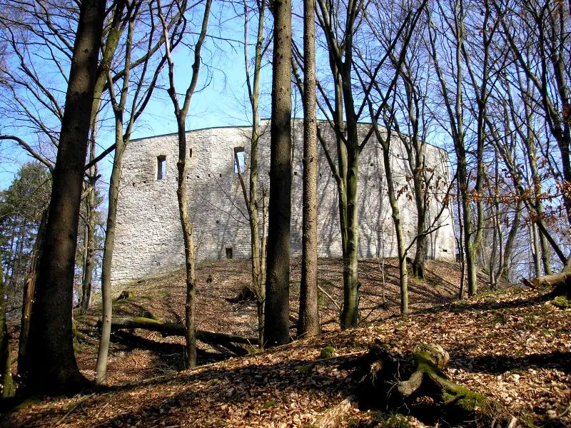 Alte Burg (Neuburg an der Donau). Die "Alte Burg" von Westen.