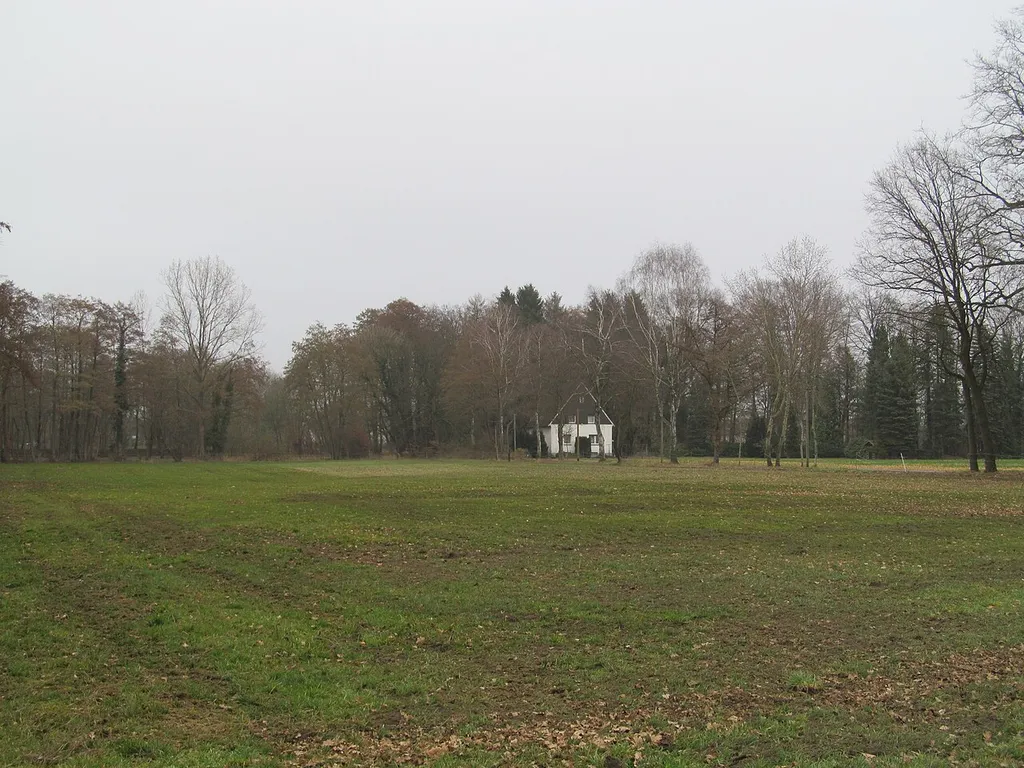 Feld im LSG „LSG-Stuckenbrocker Lehmplatten, Holter Wald und obere Senne und Neuenkirchener Sandebene“ am Ebbinghausweg in Schloß Holte-Stukenbrock