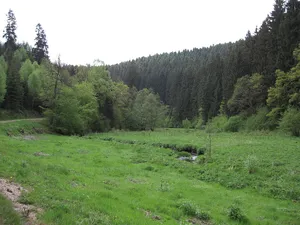 Wadrilltal zwischen Felsenmühle und Grimburg
