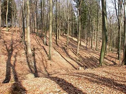 Schnippenburg