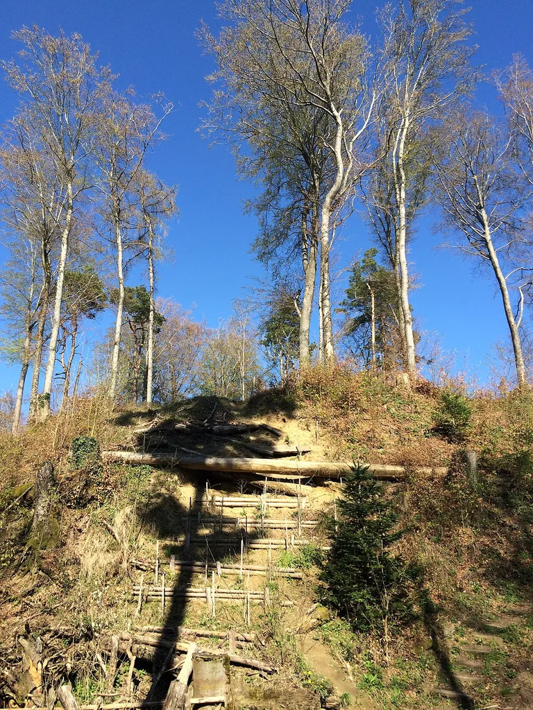 Ansicht der Erdburg von Seite Bellmund