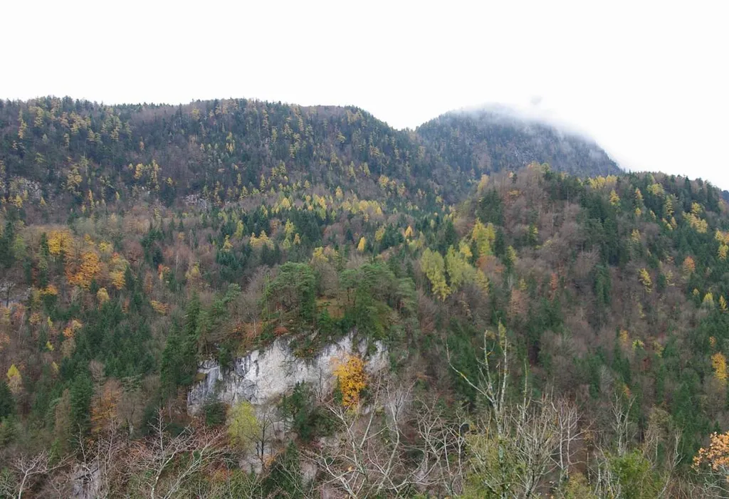Amerangfelsen in 83435 Bad Reichenhall