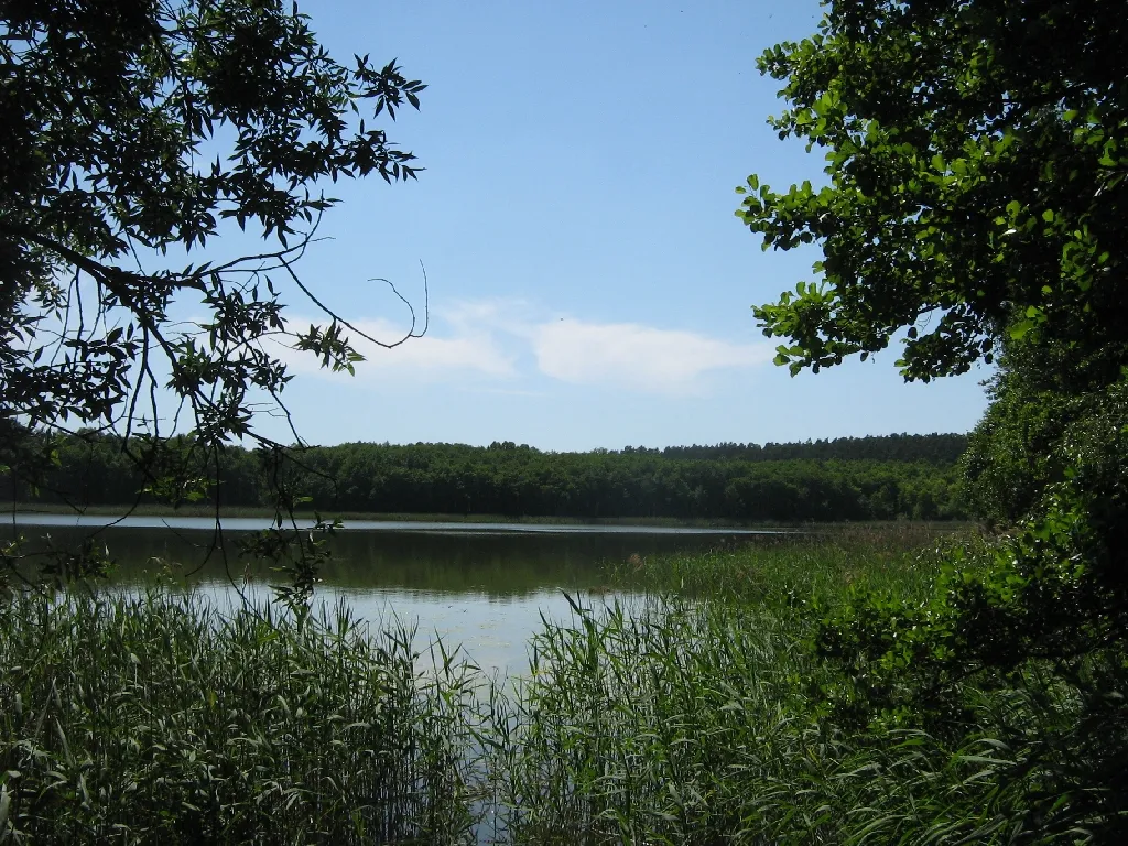 Der Röthsee bei Dambeck in der Mecklenburgischen Seenplatte (Gemeinde Kratzeburg, Mecklenburgische Seenplatte District, Mecklenburg-Vorpommern, Germany).