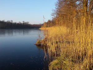 Dalbergkuhle