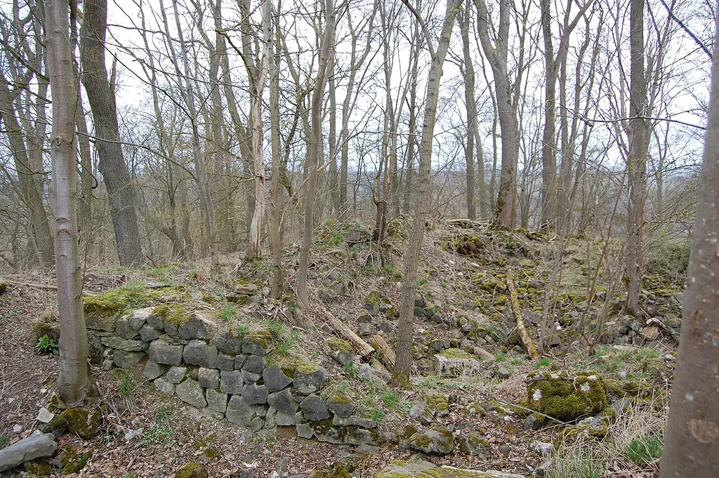 Ruine der Malsburg. Das Rechteckgebäude auf der Bergkuppe