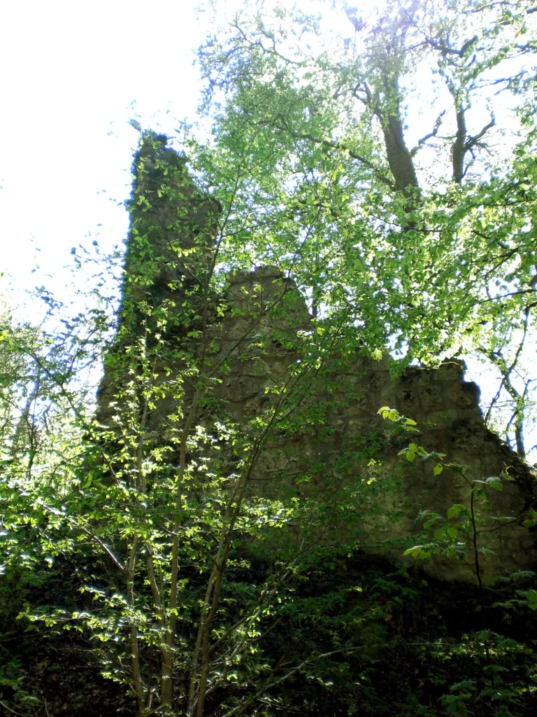 Veste Kraftstein (Burgruine), Mühlheim, Tuttlingen