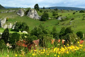 Giengener Alb und Eselsburger Tal