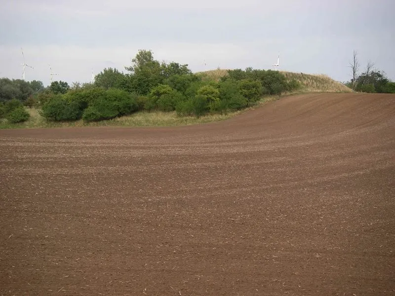 Blick zum Burgwall Knoblauch